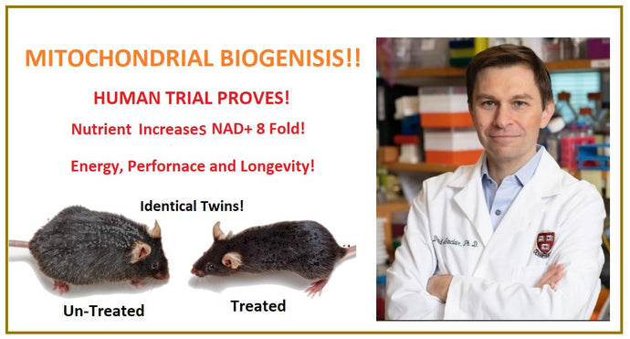 How Niacin, NR, NMN & NAD Increases Energy, Performance & Extends Longevity! Ep. 4
