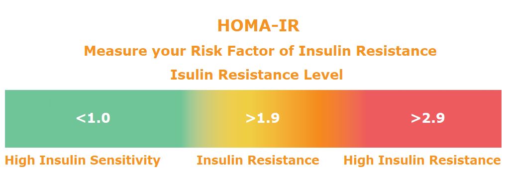 Insulin Resistance Blood Test (HOMA-IR)