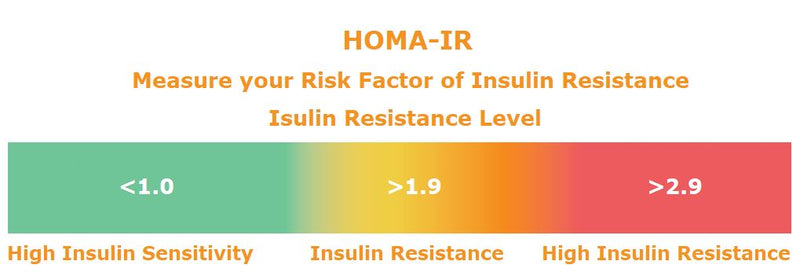 HOMA-IR: A Test of Insulin Resistance + Ways to Decrease It